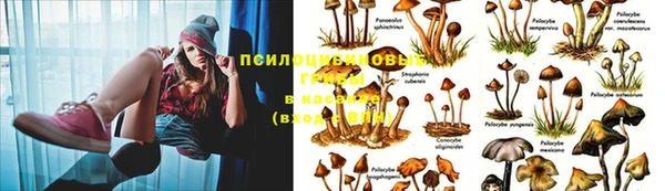 мдма Касимов
