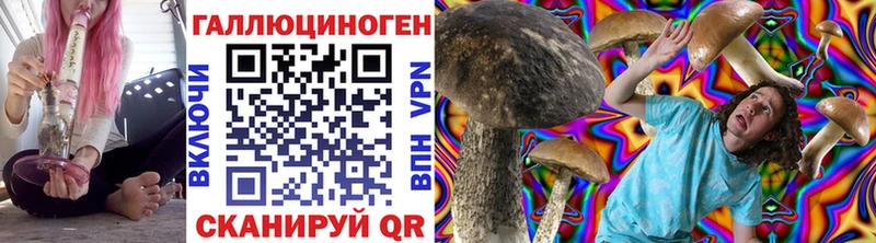 Псилоцибиновые грибы ЛСД  Купить закладки  Щёкино 